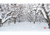 data/B2019/2019/01/03/2830245475c2dd4d42fae7.jpg