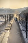 data/B2019/2019/01/04/8754303035c2eb9bf737a5.jpg
