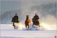 data/B2019/2019/01/07/19976908815c335a31c90e6.jpg