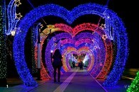 data/B2019/2019/01/08/21320446415c33f260e24bf.jpg