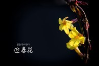 data/B2019/2019/01/24/5634734935c4927ec49609.jpg