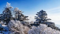 data/B2019/2019/01/29/4043106325c503387cc656.jpg