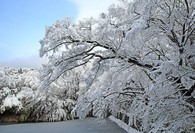 data/B2019/2019/02/01/4270771305c5368516e0ef.jpg