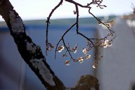 data/B2019/2019/02/04/12867616365c5794f50a4d1.jpg