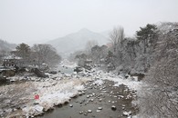 data/B2019/2019/02/04/8374056065c57de5dcc8d0.jpg