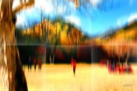 data/B2019/2019/02/06/8744798265c5a78f18aa1d.jpg