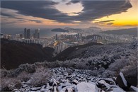 data/B2019/2019/02/12/2770519305c62871c0d7a4.jpg