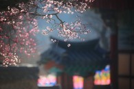 data/B2019/2019/02/12/3783514985c62ae108a4a5.jpg
