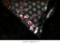 data/B2019/2019/02/13/13452999695c637f6ced4d4.jpg