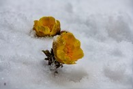 data/B2019/2019/02/13/8222949945c63e8151cc26.jpg