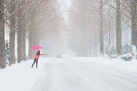 data/B2019/2019/02/14/10408239485c6543337cce8.jpg