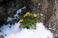 data/B2019/2019/02/18/8235127385c6a17a019600.jpg