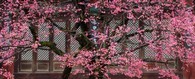 data/B2019/2019/02/21/11306552065c6dc189cb4cf.jpg