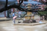 data/B2019/2019/02/21/17421132185c6de63a8f7cd.jpg