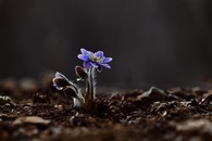 data/B2019/2019/03/05/3987872095c7e505fe21d4.jpg