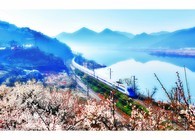 data/B2019/2019/03/05/6087870945c7dc8190943c.jpg