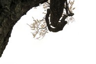 data/B2019/2019/03/07/6592271535c80fd56eca07.jpg