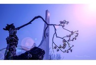 data/B2019/2019/03/08/4331257075c82714f08172.jpg