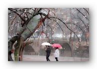 data/B2019/2019/03/09/11289434195c834cf632a81.jpg