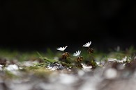 data/B2019/2019/03/09/19630616915c83b3a6345e2.jpg