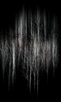 data/B2019/2019/03/11/20034952475c857777e57b8.jpg