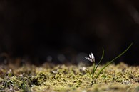 data/B2019/2019/03/14/21136812955c8a2f55910c4.jpg