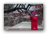data/B2019/2019/03/14/4356823835c89b38ae3f29.jpg