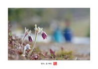 data/B2019/2019/03/20/20382792005c915ada728f9.jpg