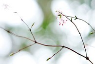 data/B2019/2019/03/20/9204936845c9244575eb30.jpg