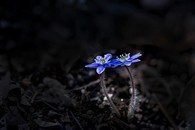 data/B2019/2019/03/21/4593184795c92d6a0b03d0.jpg