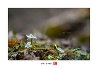 data/B2019/2019/03/22/13419826795c940a85cdfe9.jpg