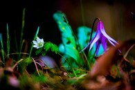 data/B2019/2019/03/25/13098827805c98cb6792ce7.jpg