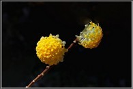 data/B2019/2019/03/26/16485653095c99b460f1c0c.jpg