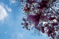 data/B2019/2019/03/26/8637720895c9a2ecda6ae0.jpg