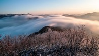 data/B2019/2019/03/28/11467329445c9bf3b29e19a.jpg