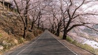 data/B2019/2019/03/29/594125965c9db4ed59e6d.jpg