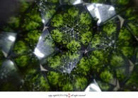 data/B2019/2019/03/30/17475805215c9f37f300dd7.jpg