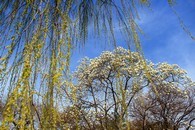 data/B2019/2019/03/30/20539180285c9e83c02a6af.jpg