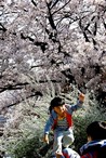 data/B2019/2019/03/30/5640102315c9e44c11334b.jpg