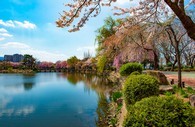 data/B2019/2019/03/31/3963582085ca0c91fe229b.jpg