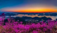 data/B2019/2019/04/01/16078556825ca1ed33bbd5a.jpg