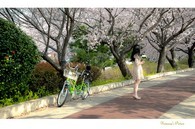 data/B2019/2019/04/01/18921320415ca173bf4bcd9.jpg