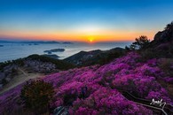 data/B2019/2019/04/01/4149761795ca1d4c2c56a9.jpg