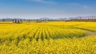 data/B2019/2019/04/03/14365650355ca3f06a685b6.jpg