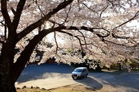 data/B2019/2019/04/03/5507730395ca41c1153ad6.jpg