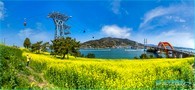 data/B2019/2019/04/06/718814265ca89c2eb70ff.jpg