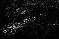 data/B2019/2019/04/07/14789735245ca9268958f66.jpg