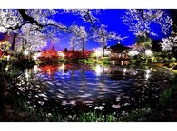 data/B2019/2019/04/08/14636621145caaf12fd2b94.jpg
