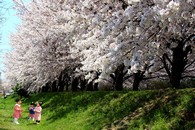 data/B2019/2019/04/08/6149667545caa897a0fd9a.jpg