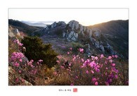 data/B2019/2019/04/09/6095114795cabca7a6f3f3.jpg